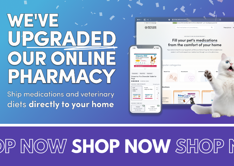 Carousel Slide 1: Shop our new and improved online pet pharmacy!